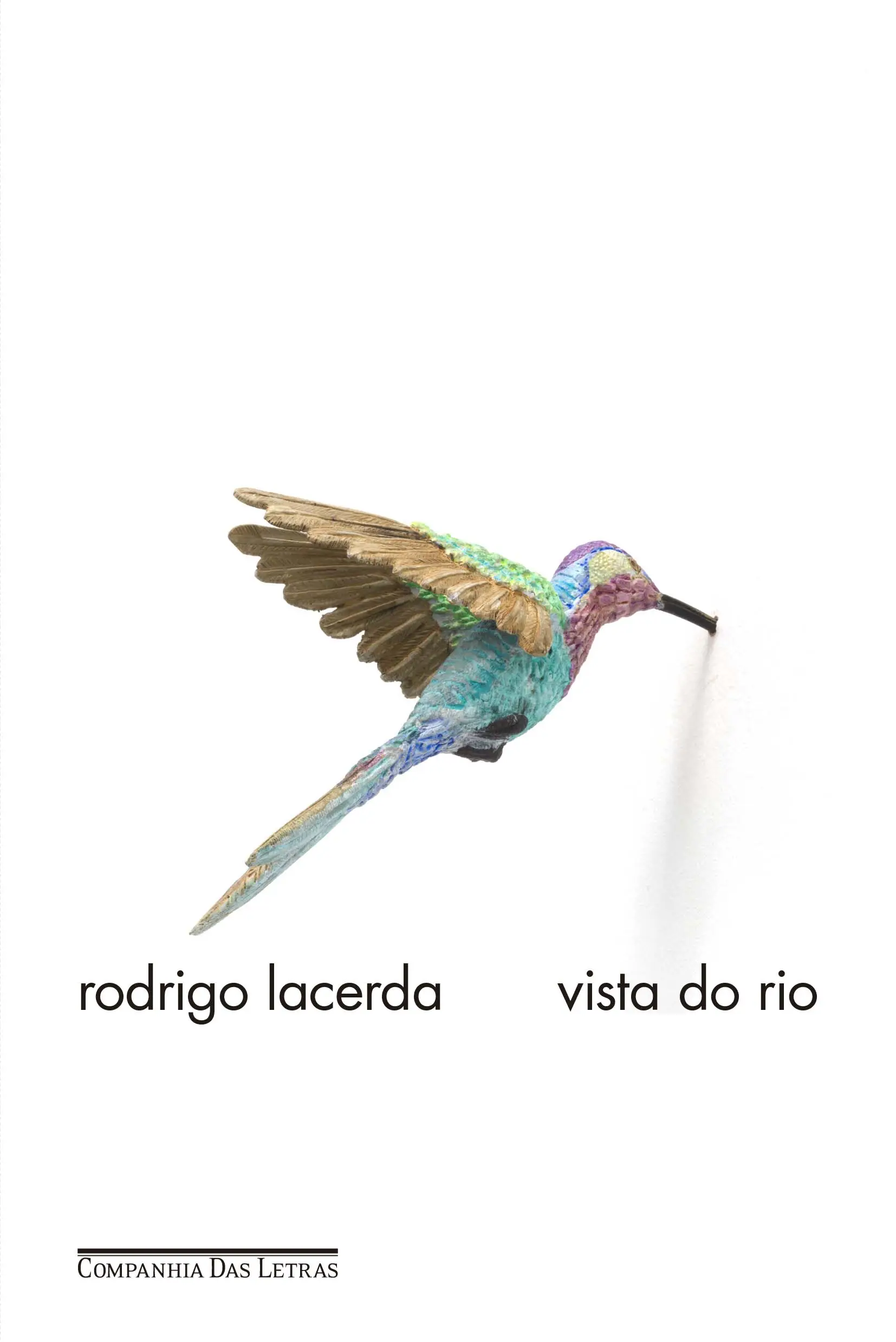 Vista Do Rio