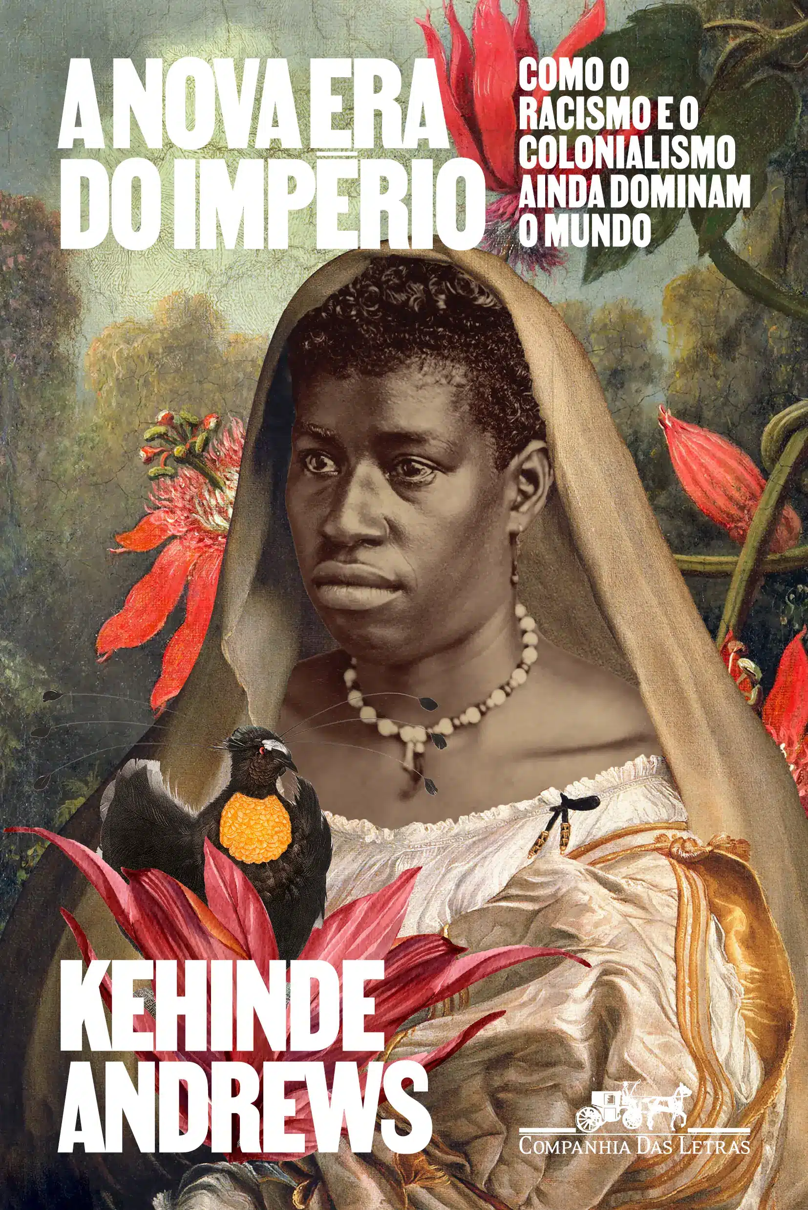 A Nova Era do Império - Como o Racismo e o Colonialismo Ainda Dominam o Mundo