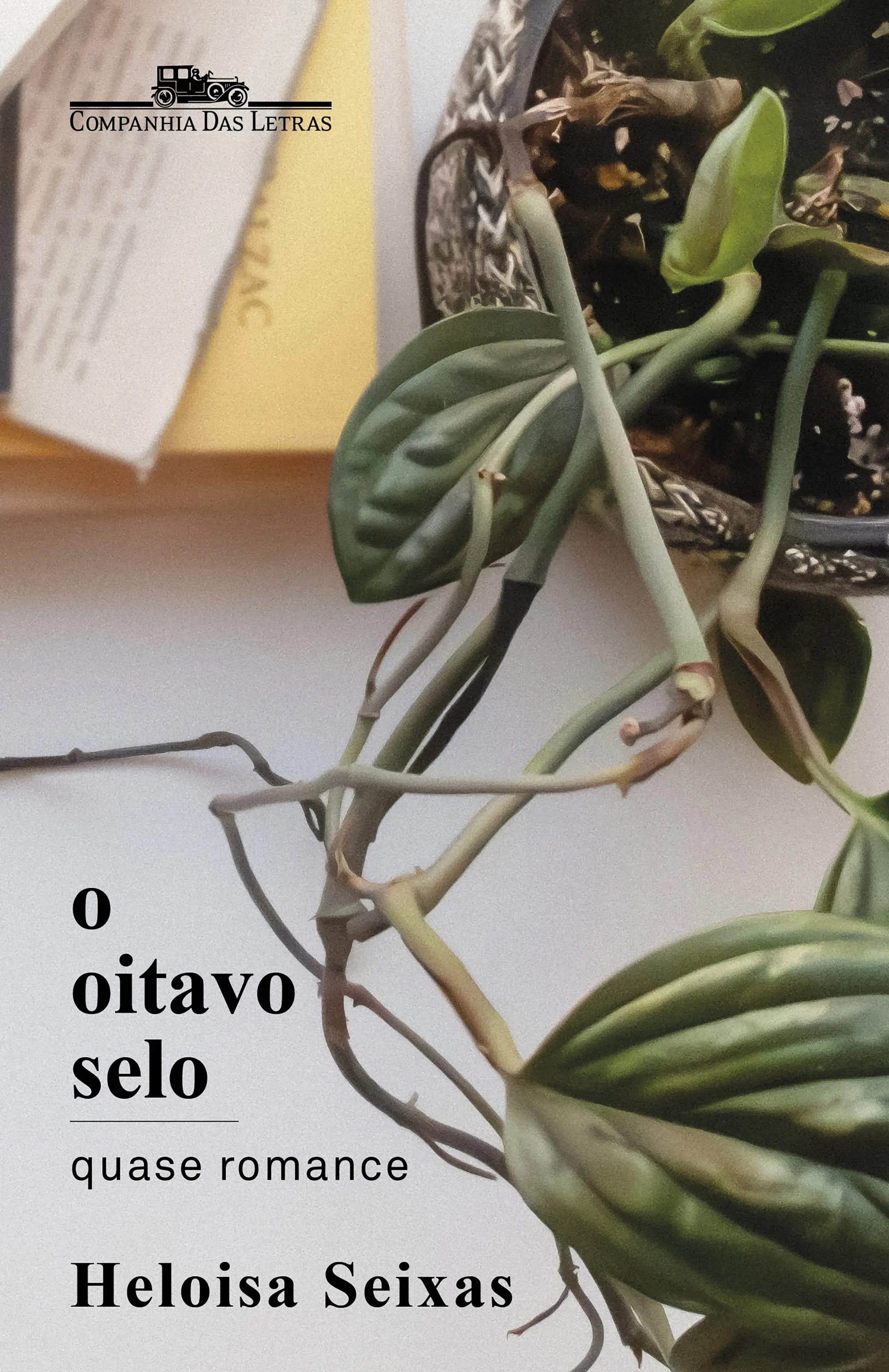 O Oitavo Selo - Quase Romance