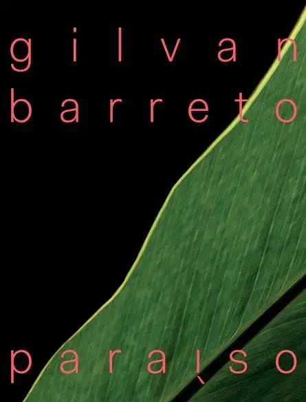 Gilvan Barreto - Paraiso