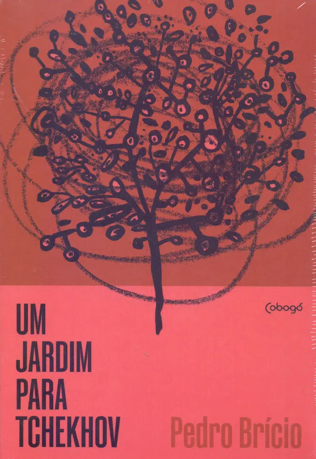 Um Jardim Para Tchekhov