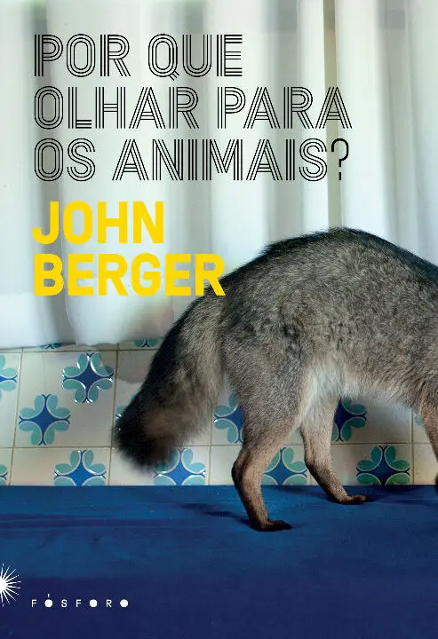 Por Que Olhar Para Os Animais?