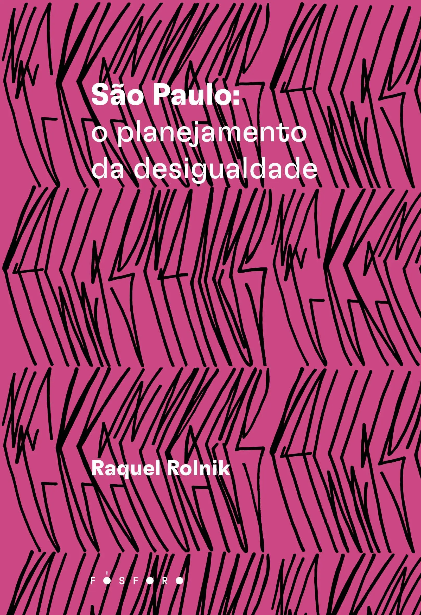 São Paulo - O Planejamento Da Desigualdade